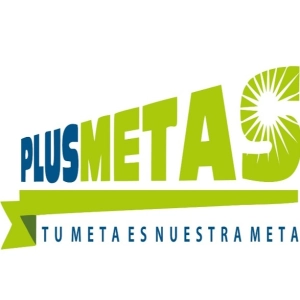 Logo PLUSMETAS SAC