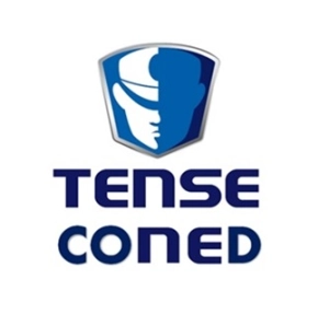 Logo TECNICOS EN SEGURIDAD - TENSE