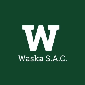 Logo Waska sac