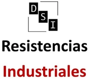 Logo Desarrollo de Soluciones Integrales, S.A. de C.V.