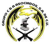 Logo GRUPO C&A ASOCIADOS, S.A. DE C.V.