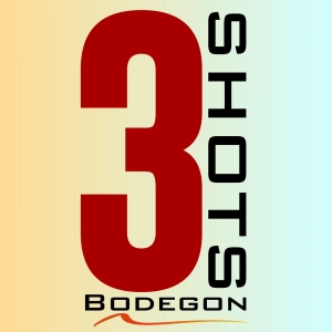 Logo 3shots