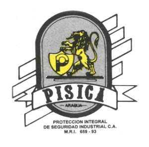 Logo PISICA