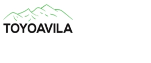 Logo Toyoavila
